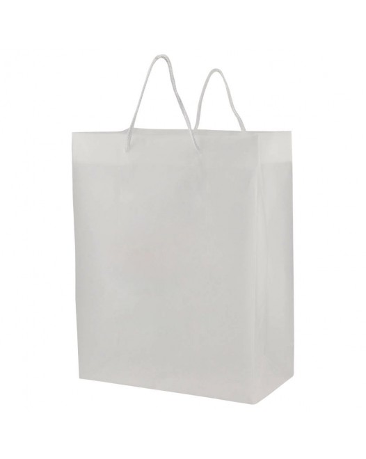 FROSTED EUROTOTE BAGS